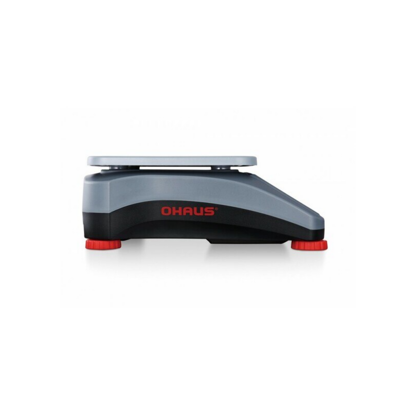 [Single Plant Weighing] Ohaus scale, Ranger 3000, 6 lb capacity